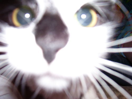 Ольга Легздина