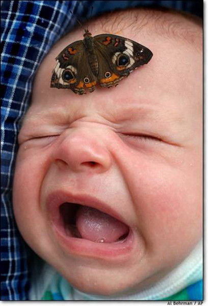 Николай Малышев