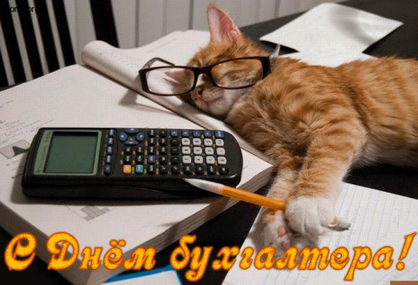 Вера Сауленко