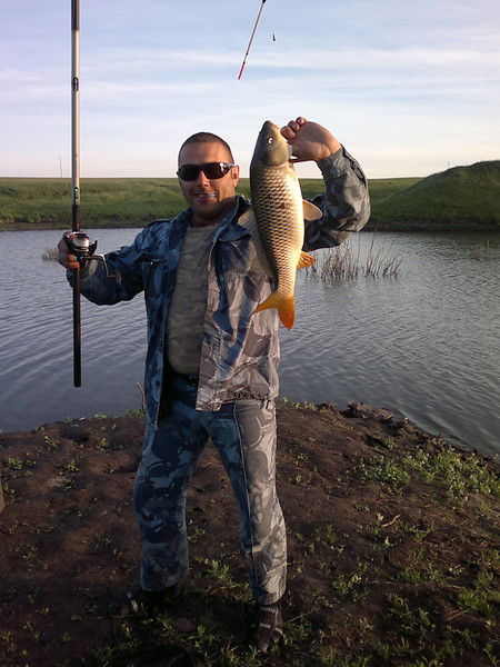 Дмитрий Гришко