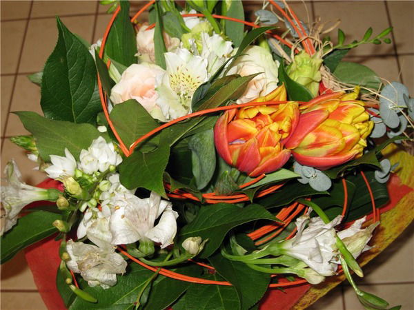 Марина Краснова