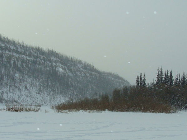 Татьяна Дубонос