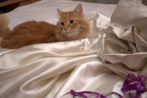 Валентина Арсентьева