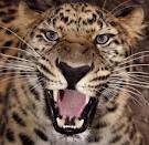 Мурат Кайратович