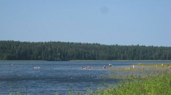 Светлана Екимова