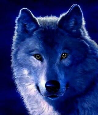 Каландар Гапыров