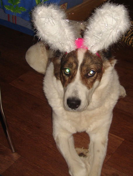 Мария Мирошникова