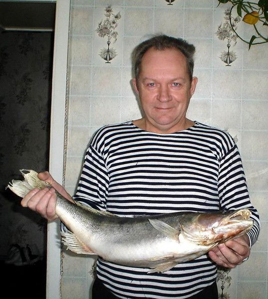 Вячеслав Минеев