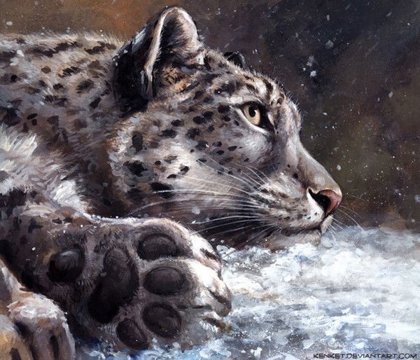 Кюнель Такаракова