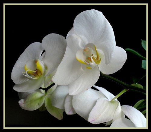 Надежда Пуненкова