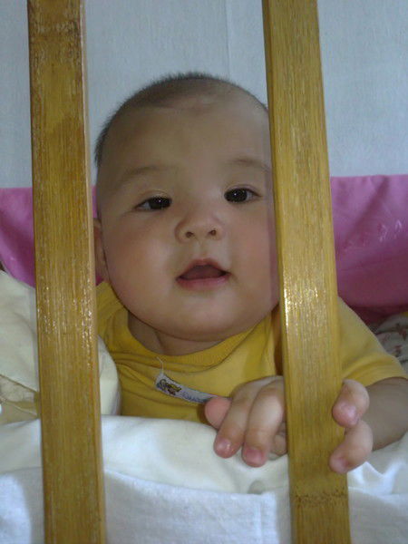 Аида Шынжирова