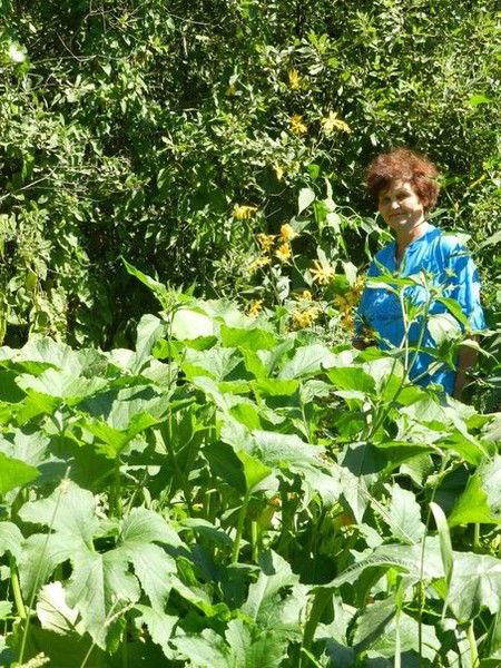 Любовь Волкова