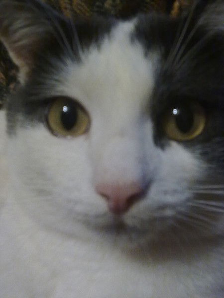 Василий Сухоруков