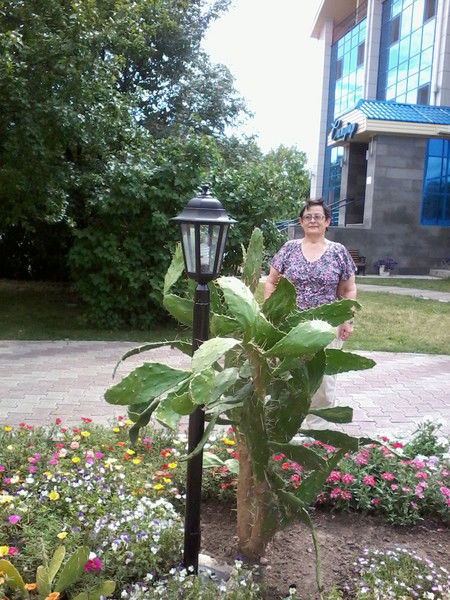 Галина Кирьянова