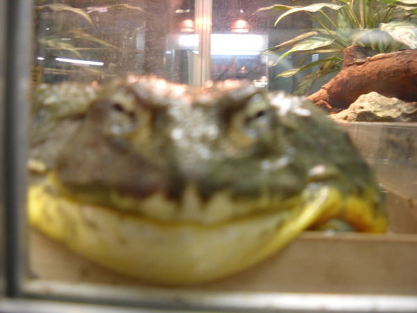 Артем Осипов