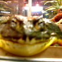 Артем Осипов