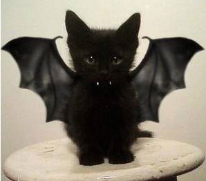 Вадим Седиков