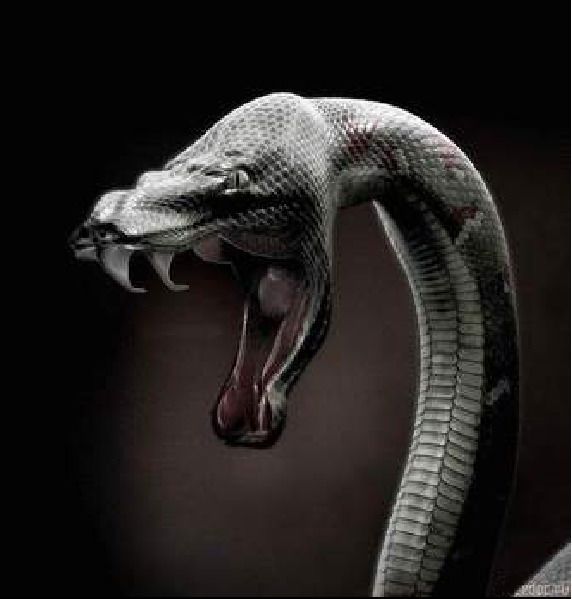 Сергей Комлев