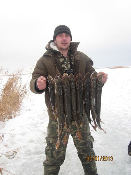 Неизвестно Неизвестно