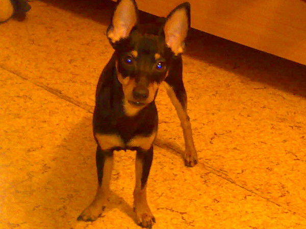 Роман Скопов