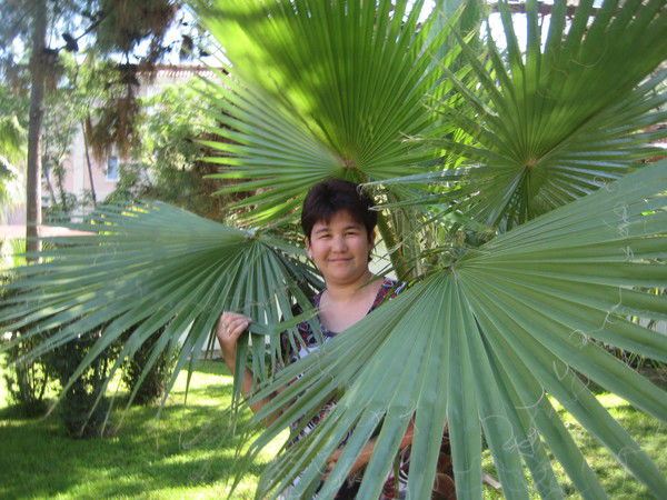 Аида Талгат