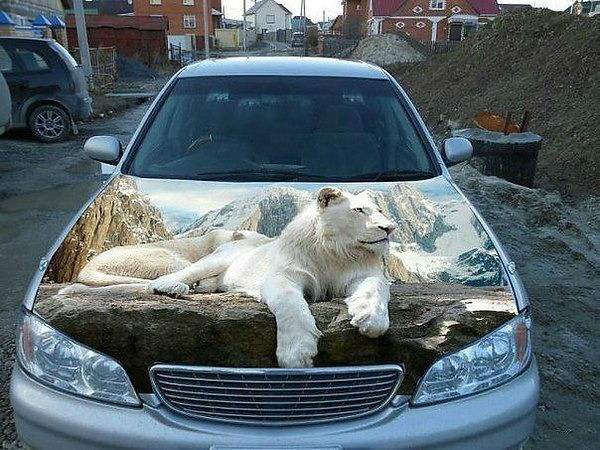 Твой Поклонник