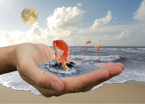 Счастья Тебе