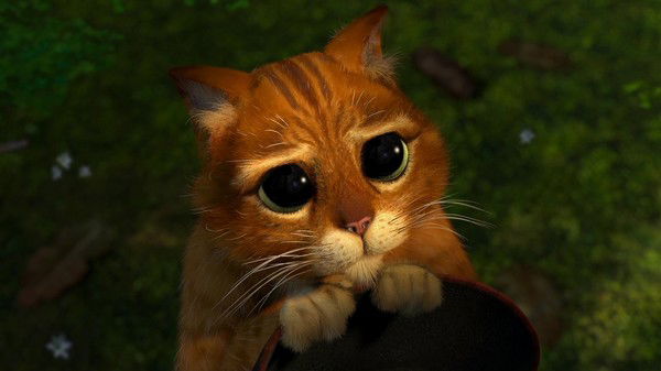 Неизвестно Неизвестно