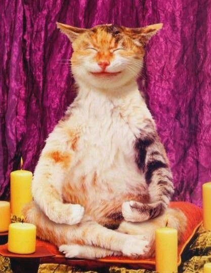 Александр Бов