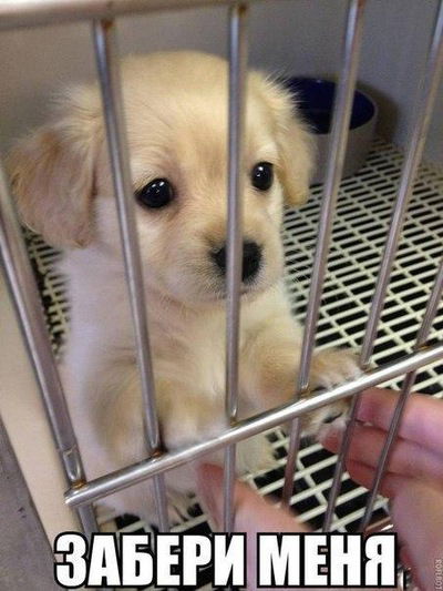 Дарья Исаева