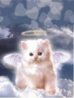 Галина Ширяева