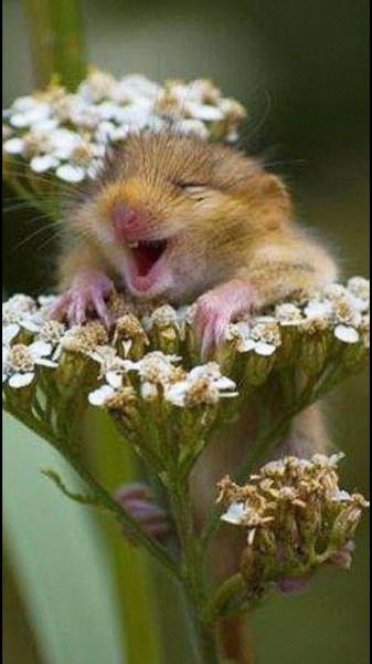 Ирина Исмагамбетова