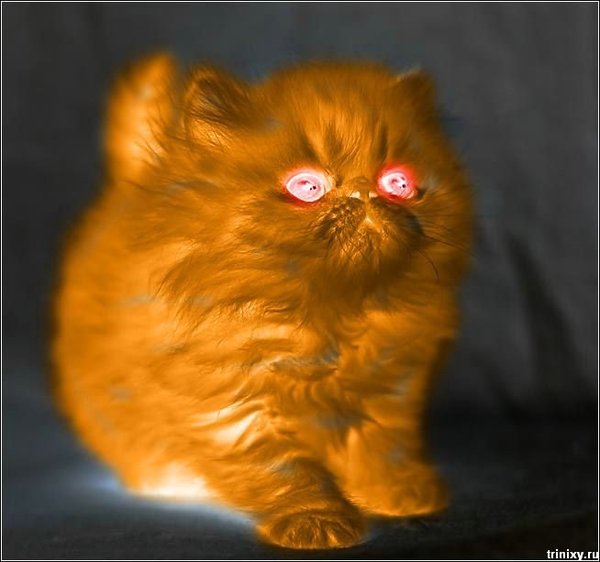 Надежда Рощина