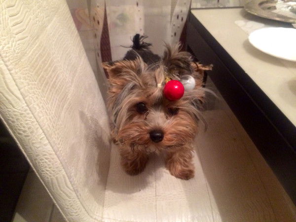 Валерия Тишкова