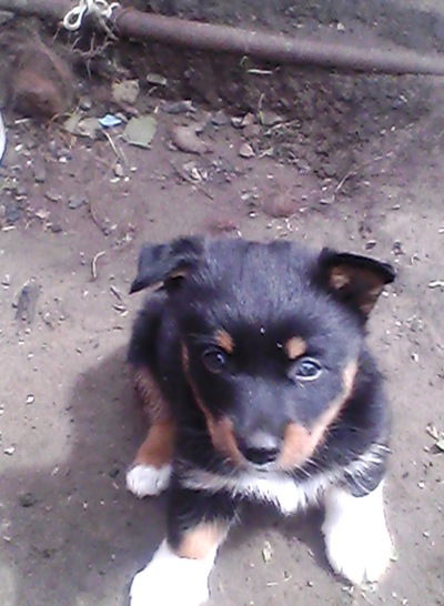 Людмила Пыхтина