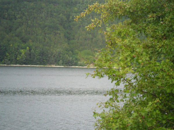 Валентина Старанчук