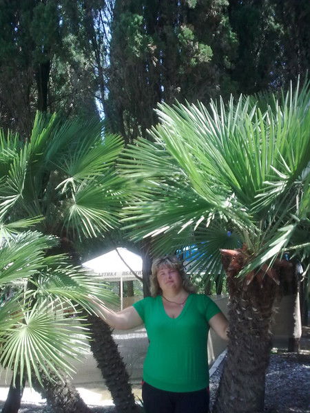 Ирина Колесникова