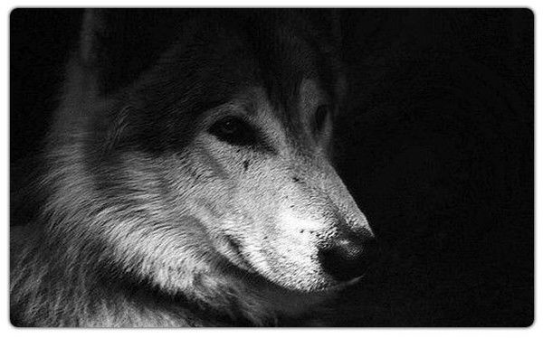 Евгений Земсков