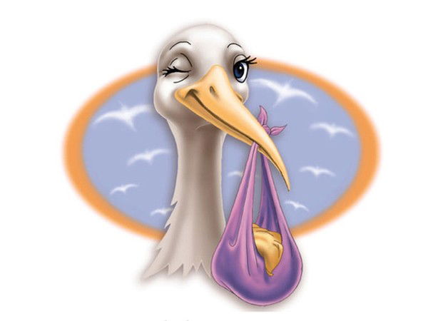 Мараховец Анна