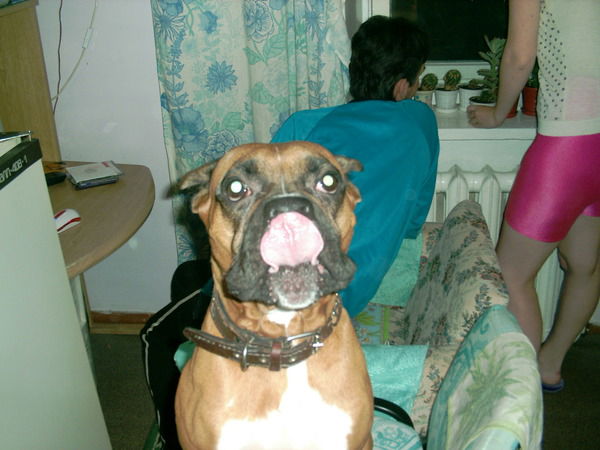 Константин Приходько