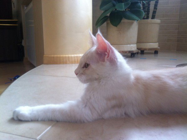 Екатерина Зацепа