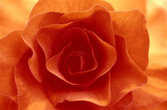 Наталья Шмелькова