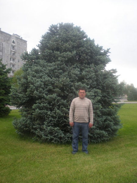 Ринат Захарян