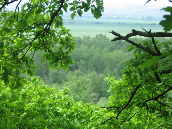 Татьяна Лупакова