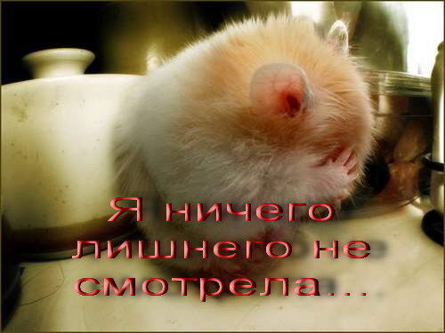 Наталья Пилюк