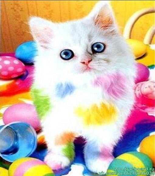 Настя Зотикова