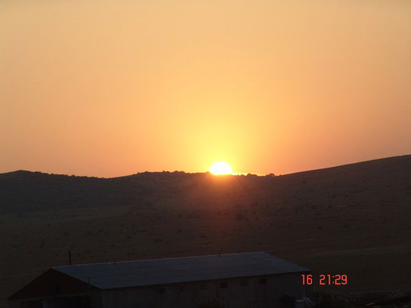 Дмитрий Грачев