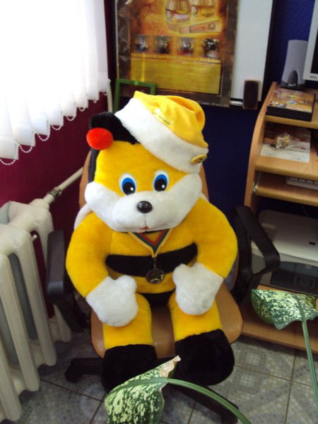 Ирина Инкогнето