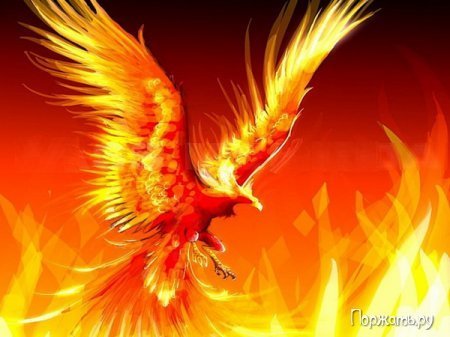 Клара Цеткин