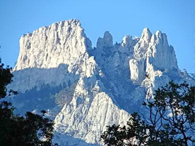 Ольга Чернышова